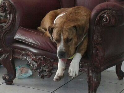 MR_Lerone88's profile picture. Gamer/Tech Support/Procrastinator