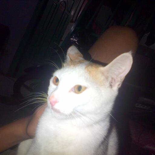 GODHEATSUS's profile picture. ROCK AND YOU MAIES YOU FOLLOW ME I PROMOSI YOU