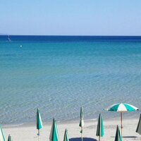 sardolicesimo (@sardolicesimo) 's Twitter Profile
