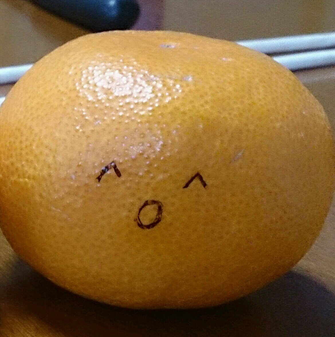 ヤナギカワさんのプロフィール画像