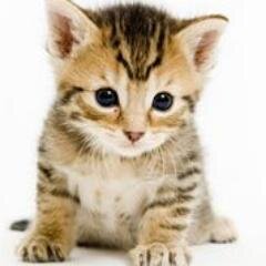 himajomatometan's profile picture. ヒマ嬢が気になったニュースをまとめたんしますヾ(ﾟωﾟ)ﾉ゛
2ちゃんねる・2ch・まとめ