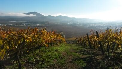 Giani69's profile picture. Ignaciano de corazon. Agronomo de profesion (PUC). Amante de la naturaleza y de la Agricultura. Felizmente casado con Melanie, y nuestros hijos Emma y Matteo