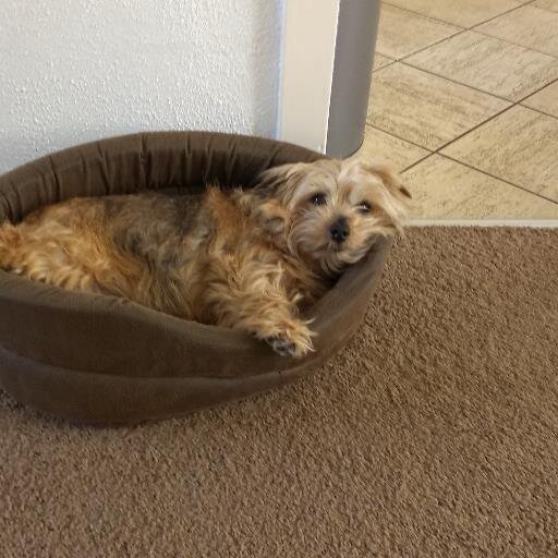 mstraten75's profile picture. 