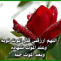ابـو زويـــد (@i_0000000) 's Twitter Profile