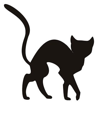 PINCodeAsia's profile picture. 