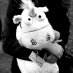 das Unicorn (@_dasunicorn_) Twitter profile photo das Unicorn (@_dasunicorn_) Twitter profile photo