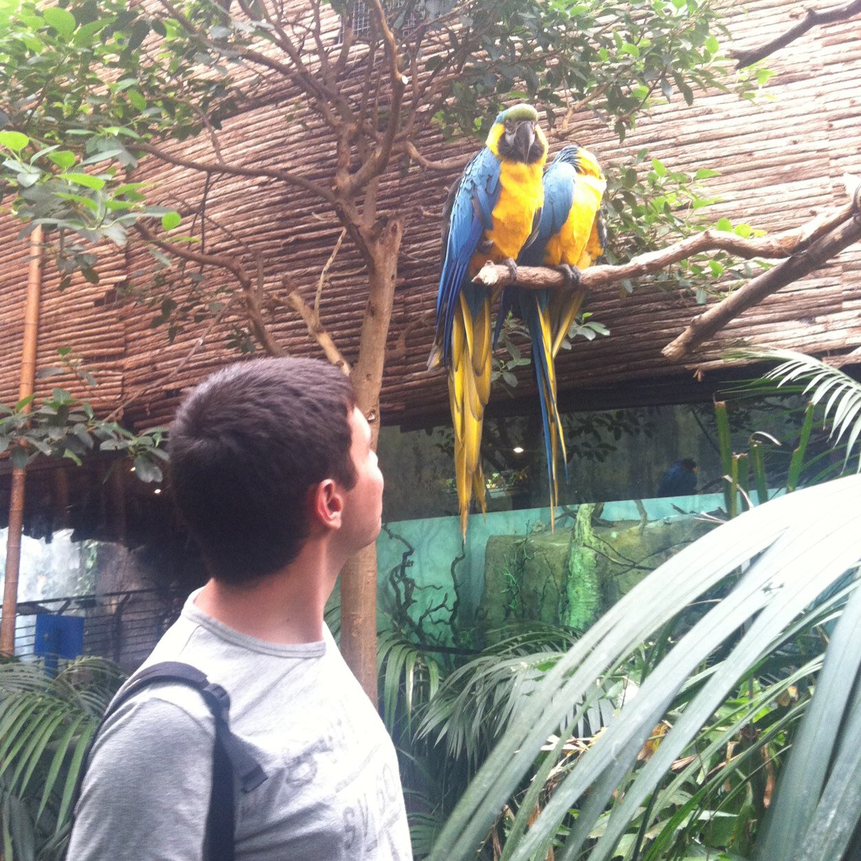 AlexCR2012's profile picture. Medico residente de Cardiologia en Toledo.