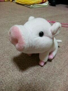 butakimuchi01's profile picture. 