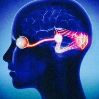 DiegoIsaza2's profile picture. 