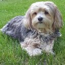 Daryl Phillips - @daryl_daryl6911 - Twitter