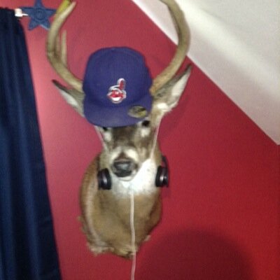 indcavbro's profile picture. Browns Cavs and Indians Fan