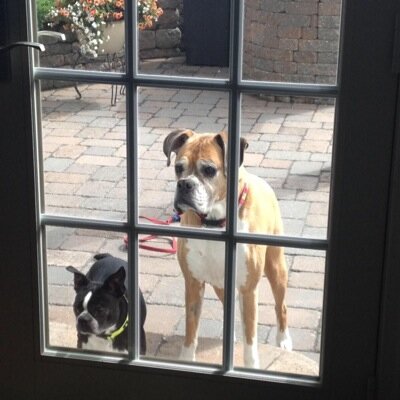 Chicletdmf's profile picture. 