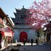 Travel Tourism (@traveltourism6) Twitter profile photo Travel Tourism (@traveltourism6) Twitter profile photo