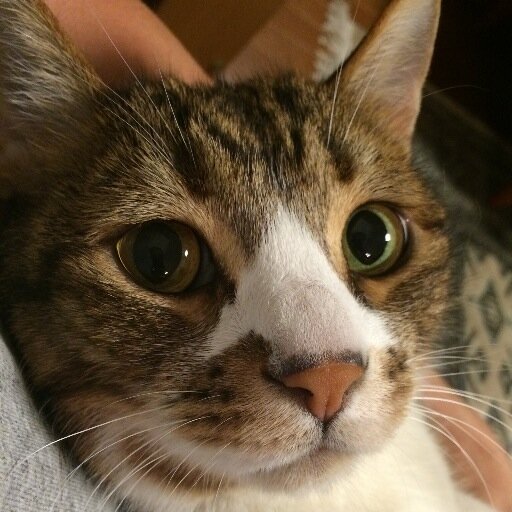 ☺️
