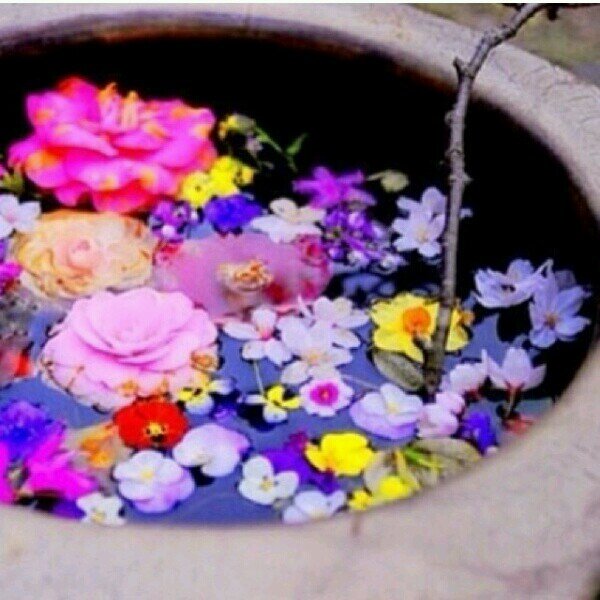 ‏‏لگ ﺎﻟحمْد وﺎﻟشكر ياربّي على گُل مَآ
  نحَنُ فِيہ منْ خير ۆ نِعمة ۆ صِحہ '♡