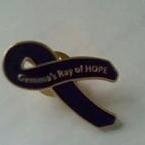Gemma's Ray of Hope are a Registered Charity Local  to Newcastle under Lyme. Who's aim is to raise awareness in Epilepsy and SUDEP.