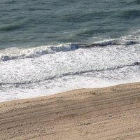 cathy vitek (@cathyvitek) 's Twitter Profile