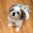 Patty Silver - @Prsilver97Patty - Twitter