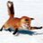 foxylikeacraze's profile image