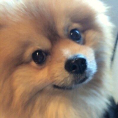 Olivia10Ori's profile picture. お姉ちゃん大好き♡らぶ