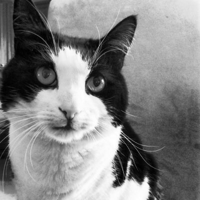 PunDogg's profile picture. Just a guy who loves fitness, food, drinking, the outdoors and baltimore, MD!