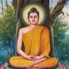 ppuravet's profile picture. 