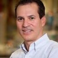 Dave Fogel (@dafogel) 's Twitter Profile