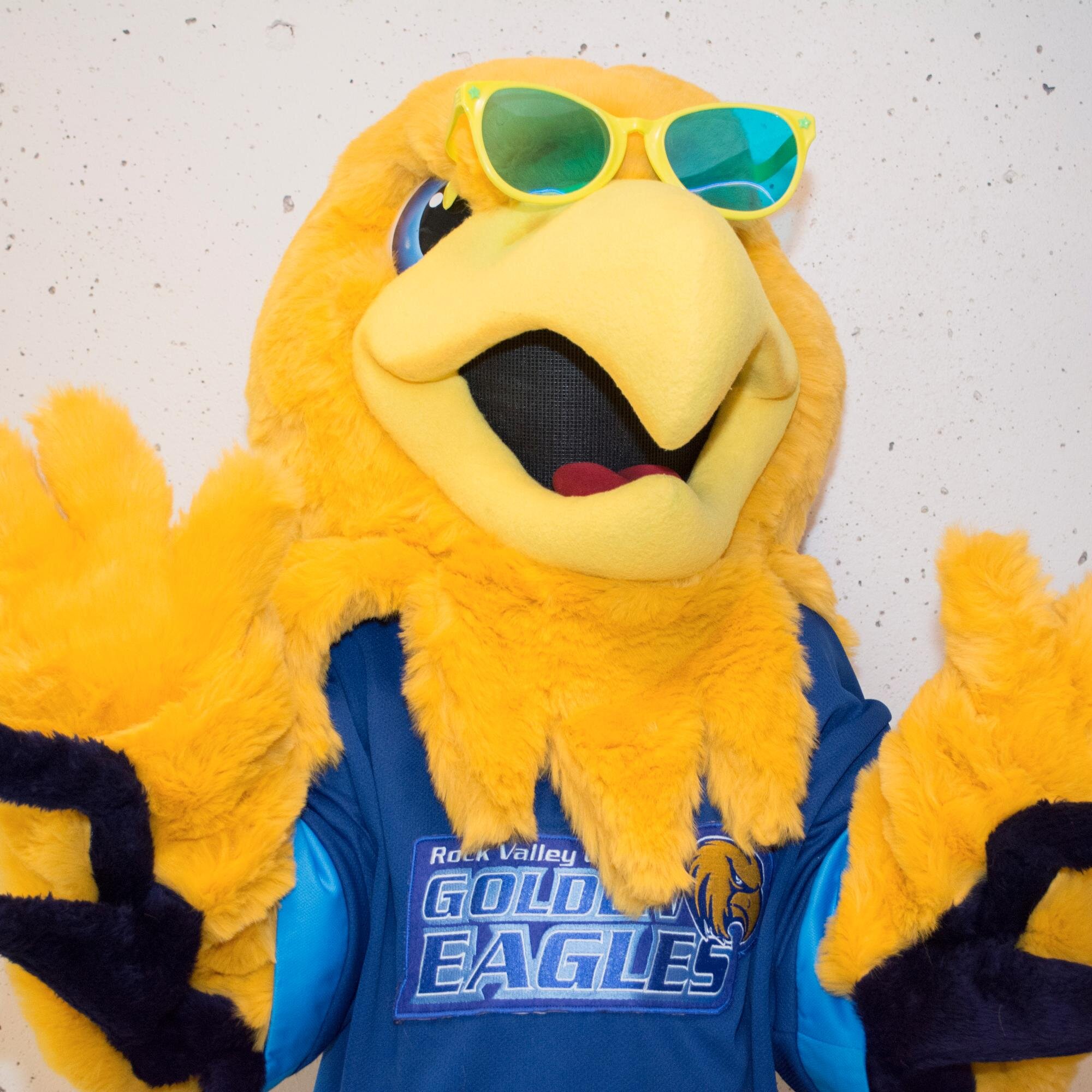 The official mascot for the Rock Valley College Golden Eagles @rvcgoldeneagles #Arvee
