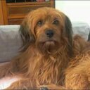 Tea  Stella Rocca - @rocca_tea - Twitter