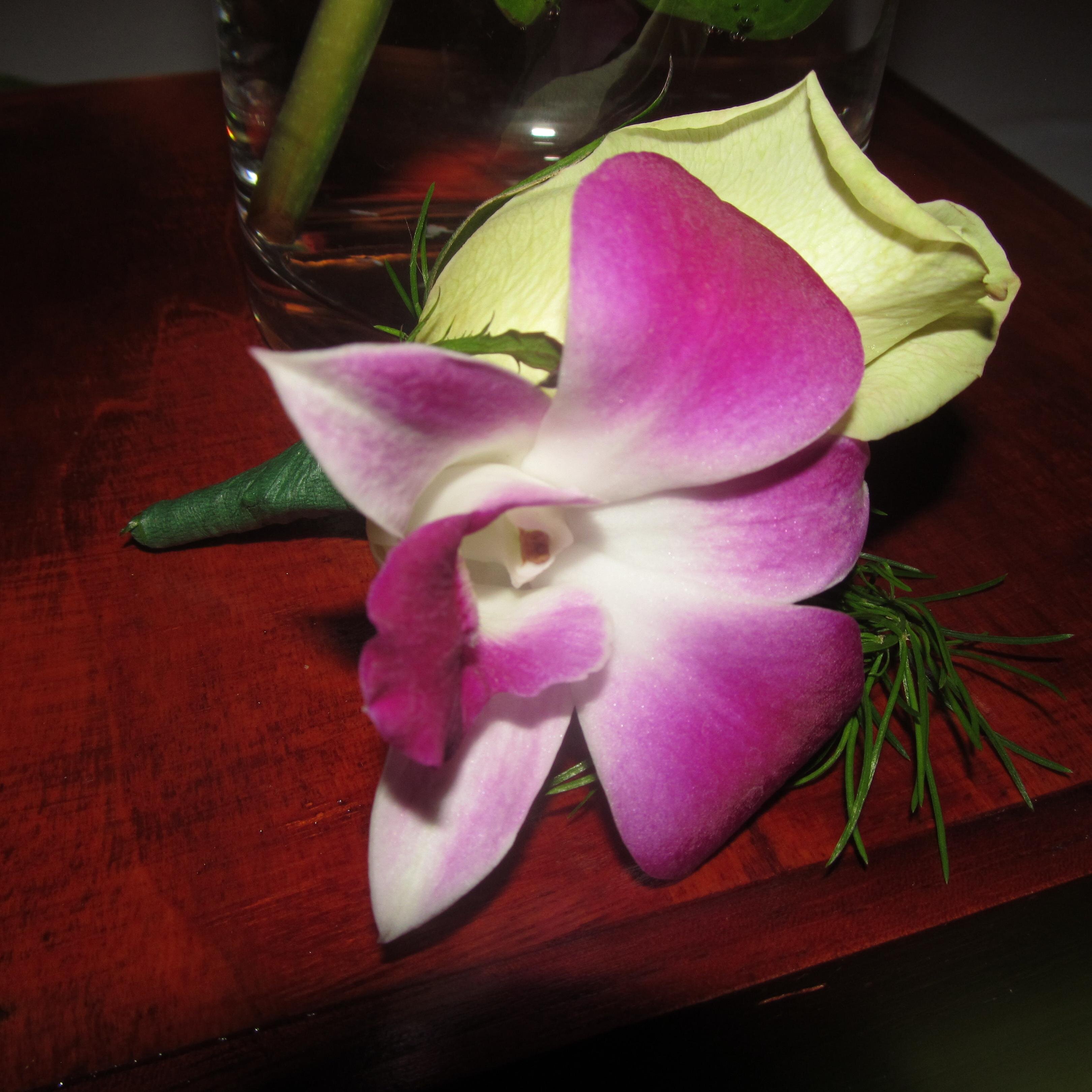 ClaharConcept's profile picture. 