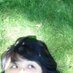 Marci Calabretta Cancio-Bello (@marcicalabretta) Twitter profile photo