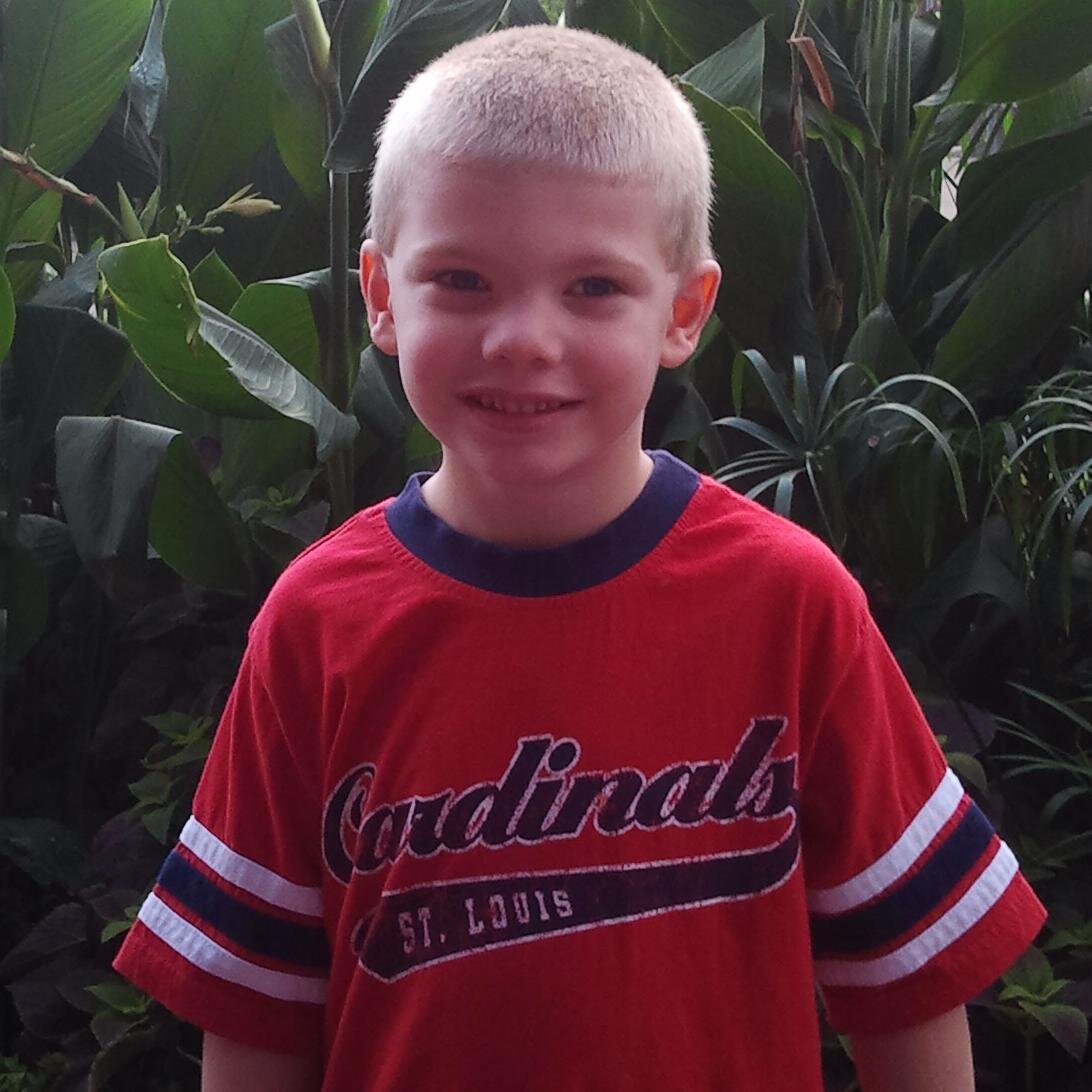 AndrewGrass1's profile picture. Go Cards, Rams and Blues!