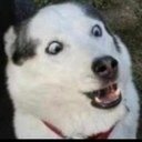 nomejodases's profile picture. no me jodas no tengo casa,auto,novia,comida,television,computadora,familia,amigos,vida,algun lugar para vivir pero tengo twitter