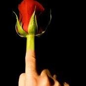 CwSehadet's profile picture. Safkan CW Sistemi  //                                                                                      Cyber-Warrior Information Technology's World