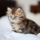 Haley Mcguire - @haley_mcguire - Twitter