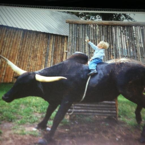 milkthistleface's profile picture. went to New Delhi, but I couldnt find a sandwich