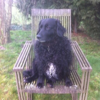 Werkt bij Visio, houdt van lange wandelingen met de honden en kamperen.