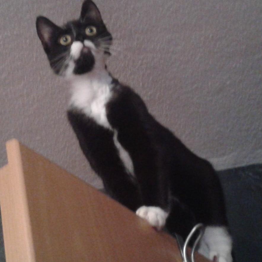 _The1_'s profile picture. 