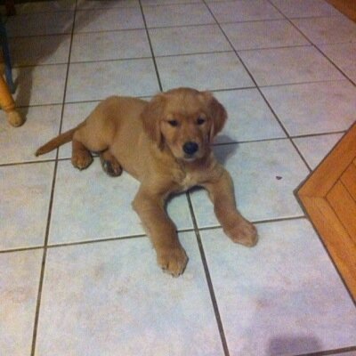 jlynnbest's profile picture. 