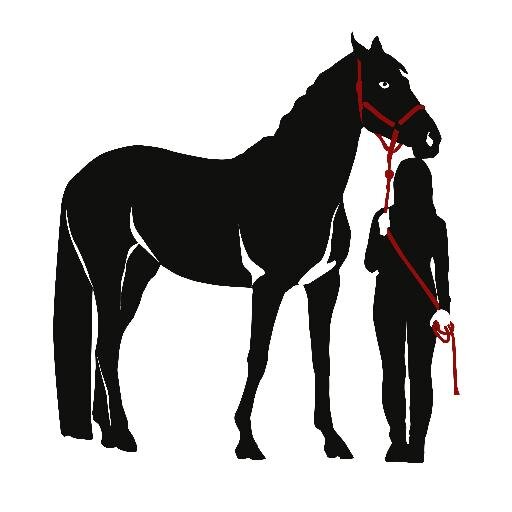 Lo-Ride Equestrian Wear specializes in the manufacturing of fun and functional women’s equestrian clothing. 
   Stand Out in the Crowd...