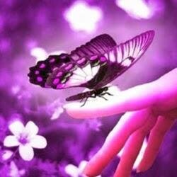 kushielsangel1's profile picture. 