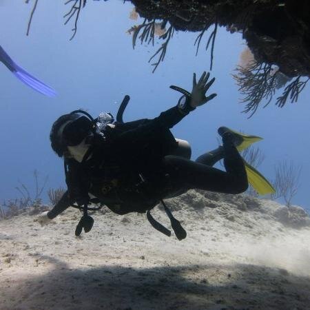 toursandmore's profile picture. Online marketplace for travelers who want to do an activity at their destination of travel and as well  for tour operators who want to provide their activities.