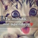 kevin julian serna - @GJulito - Twitter