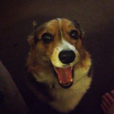 Zillustrator's profile picture. Things that go bump in my head, explode yours.