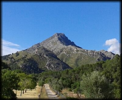 Descubrí la Possessio de Galatzó en 1993 de la mano de l'Amo en Miquel y me quedé 28 años, viviendo su transformación en finca pública. El pasado del presente