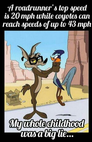 krazyguy82's profile picture. 