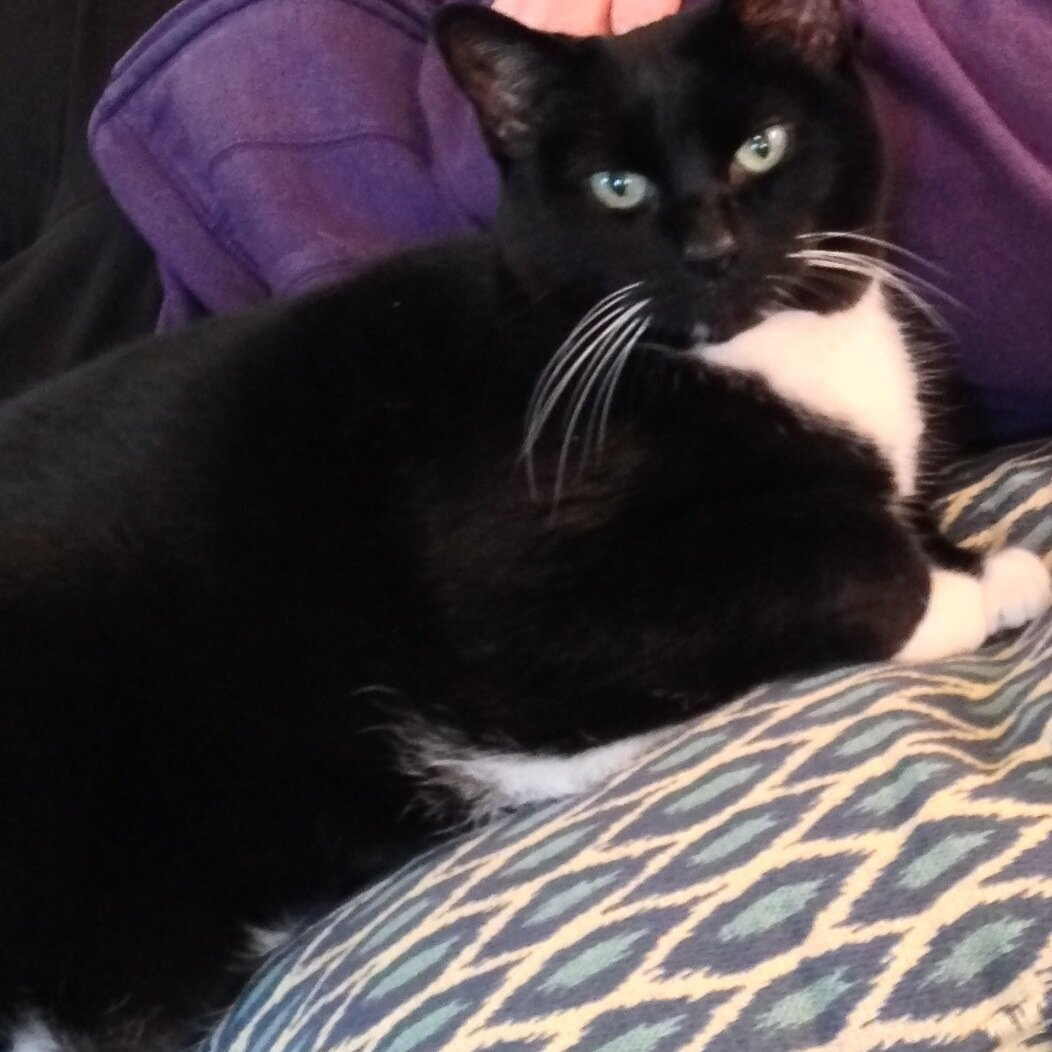 BaileyBooRaps's profile picture. 