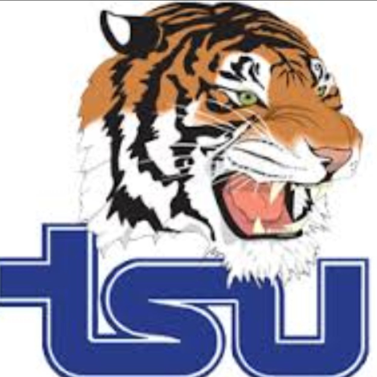 life_tsu's profile picture. Tennessee State University ( GO BIG BLUE ) All TSU students S/O the page ! Instagram @LifeOfTSU