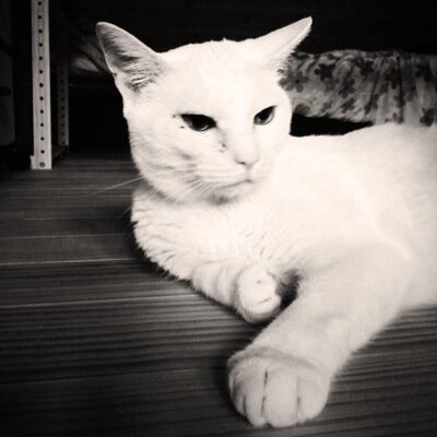 な