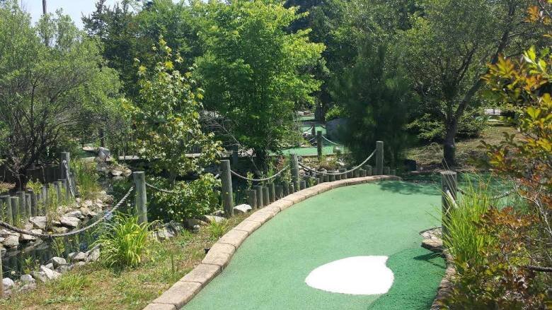 CapitalGolfCtr's profile picture. The Triangle's premier golf practice facility with heated and fan-cooled bays, PGA lessons, club repair and fittings, pro shop and mini-golf! Open all year!